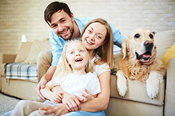 3_Easy_Ways_to_Make_Your_Home_More_Pet_Friendly.jpg