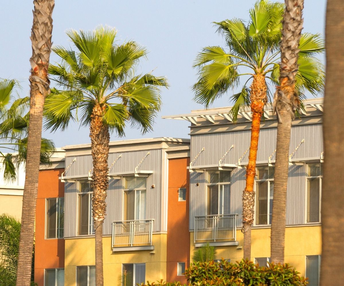 Condos and palm trees